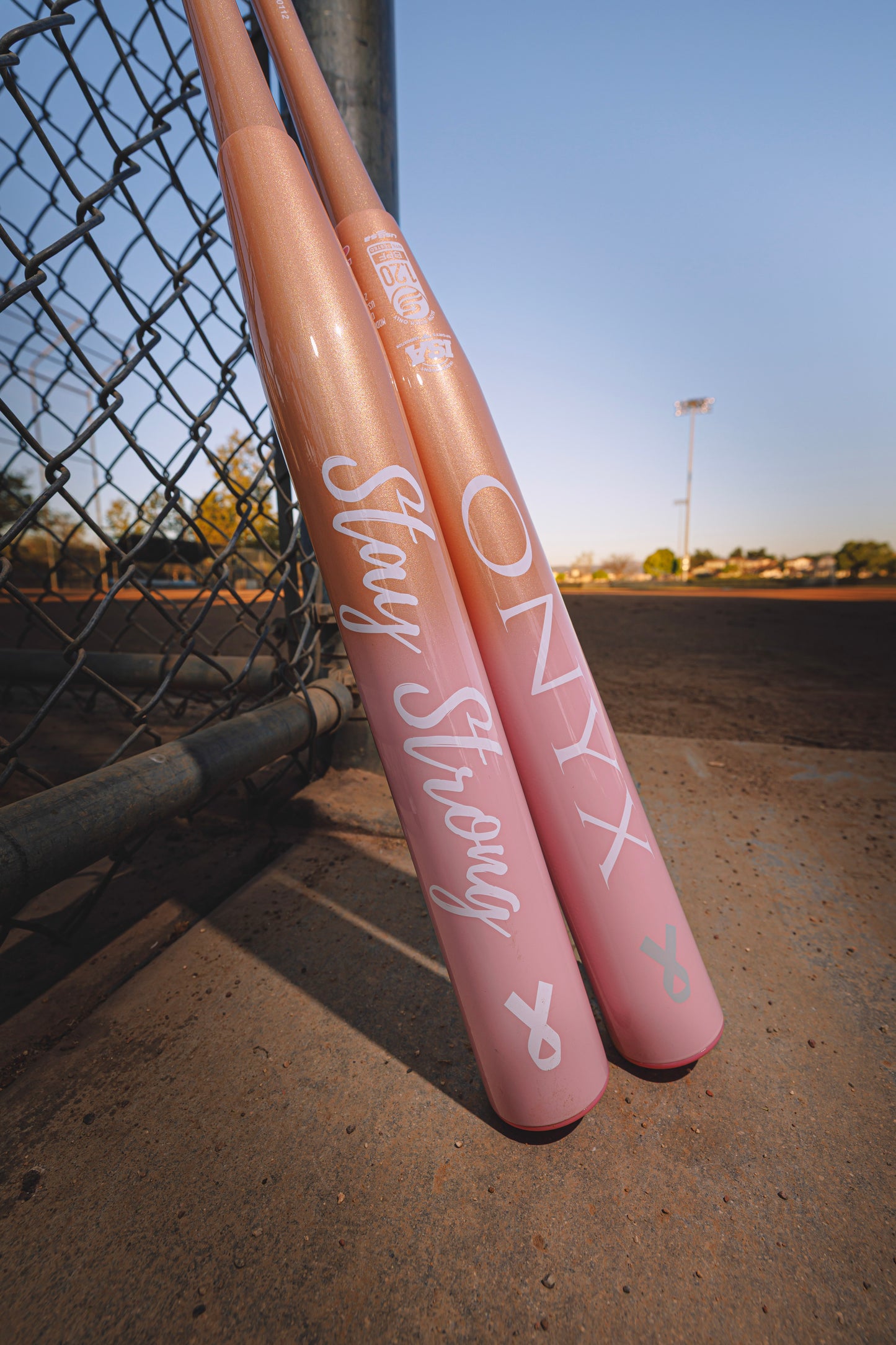 2026 Onyx Stay Strong USSSA Slowpitch Softball Bat