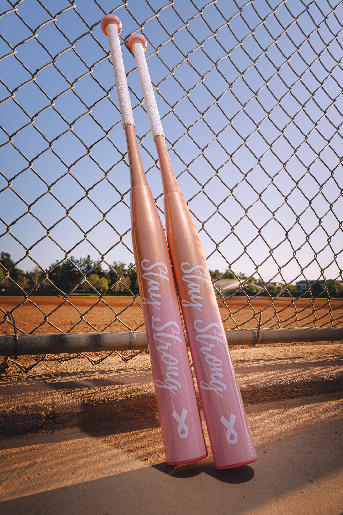 2026 Onyx Stay Strong USSSA Slowpitch Softball Bat