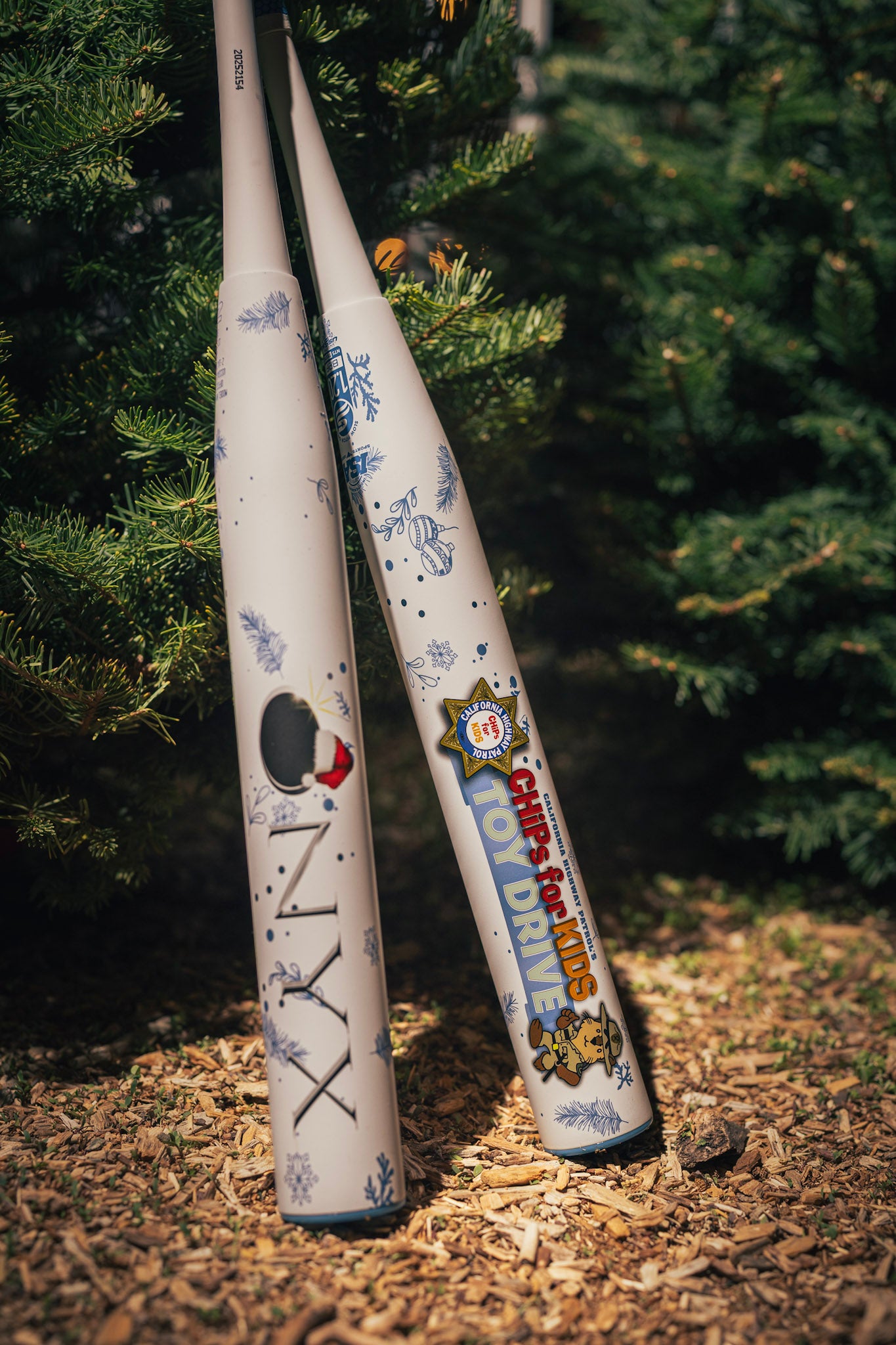 2025 Onyx Chips 4 Kids