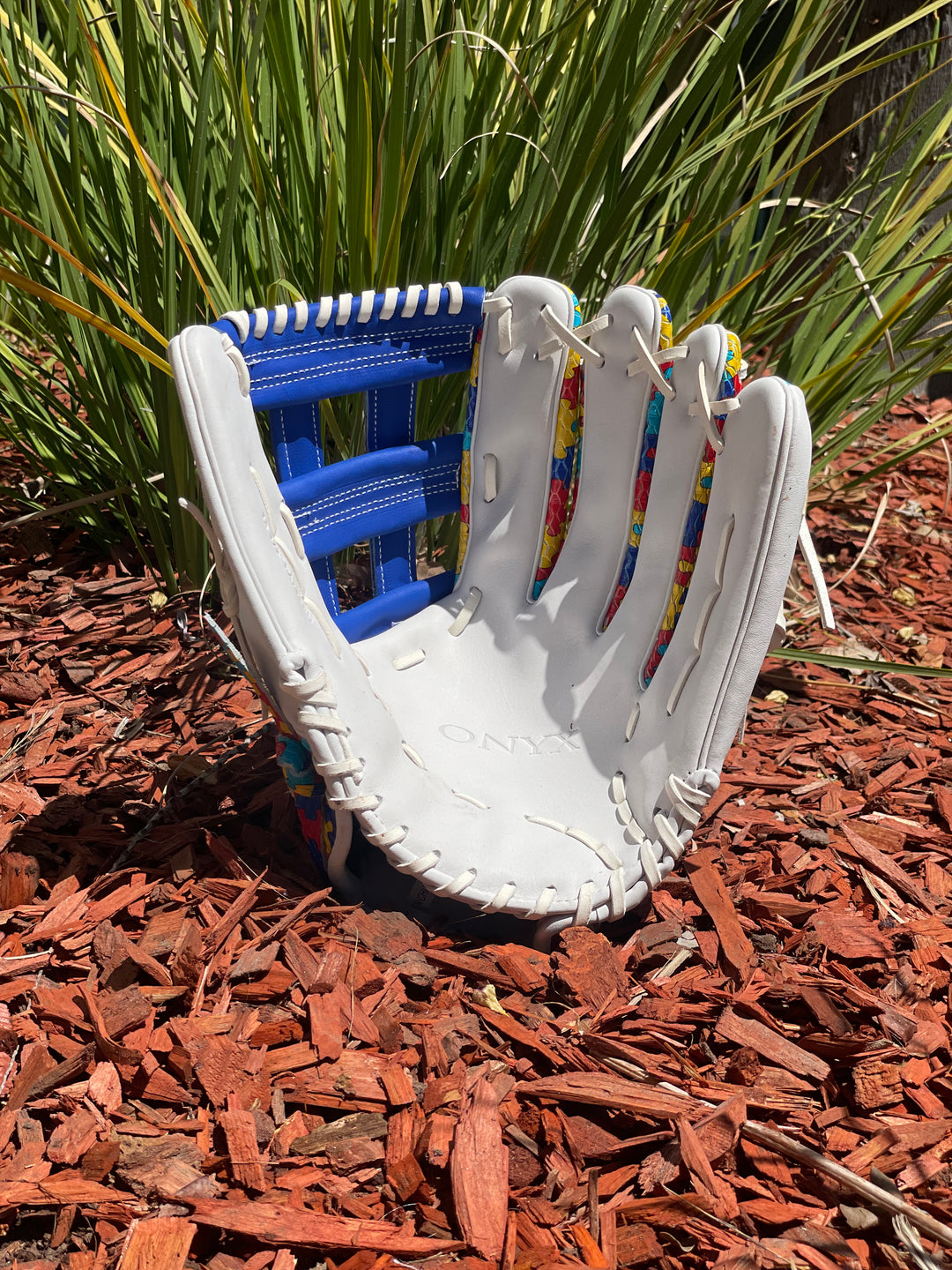 Onyx Fielding Glove - Acceptance