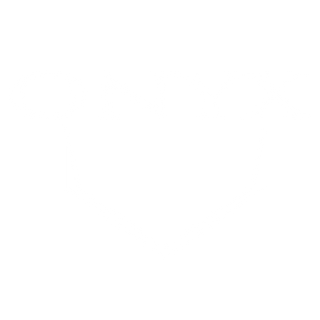 Onyx Softball Bats